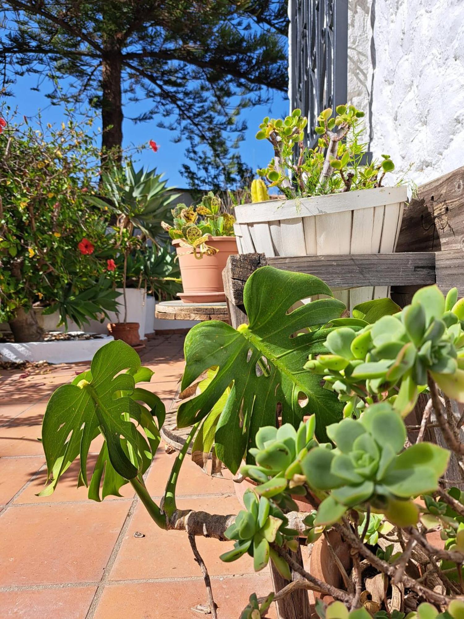 Casa Campo Mijas Costa Del Sol Malaga Exterior photo